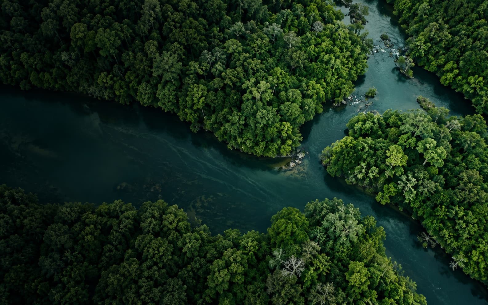 A branching river flowing through a dense green forest, an AI-generated landscape